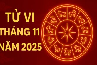 tử vi tháng 11 2025 cho 12 con giáp vượt khúc cua cuối năm – Đúng phong thủy, đúng vận phát tài