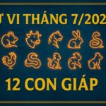 tử vi tháng 7 2025 cho 12 con giáp Đổi vận giữa năm – chiêu đúng tài, phá đúng hạn