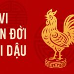 tử vi trọn đời tuổi dậu