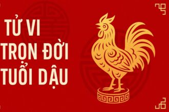 tử vi trọn đời tuổi dậu