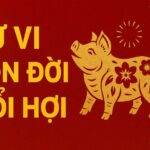 tử vi trọn đời tuổi hợi