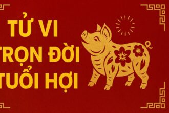 tử vi trọn đời tuổi hợi