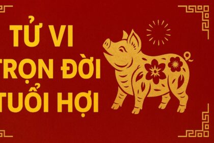 tử vi trọn đời tuổi hợi