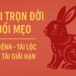 tử vi trọn đời tuổi mẹo