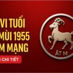 tử vi tuổi Ất mùi 1955 nam mạng năm 2025 mệnh khắc – hạn lớn – phải lấy phong thủy dẫn đường giữ vững tài khí
