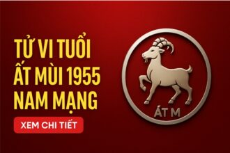 tử vi tuổi Ất mùi 1955 nam mạng năm 2025 mệnh khắc – hạn lớn – phải lấy phong thủy dẫn đường giữ vững tài khí