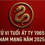 tử vi tuổi Ất tỵ 1965 nam mạng năm 2025 bứt phá cuối vận, chiêu tài vượng phát