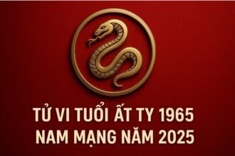 tử vi tuổi Ất tỵ 1965 nam mạng năm 2025 bứt phá cuối vận, chiêu tài vượng phát