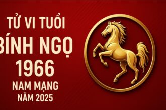 tử vi tuổi bính ngọ 1966 nam mạng năm 2025 thoát hạn lục hại – chiêu tài đúng cách để xoay chuyển vận mệnh