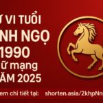 tử vi tuổi canh ngọ 1990 nữ mạng năm 2025 vận trình biến động – cần hóa giải đúng lúc để chiêu tài hút lộc
