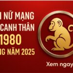 tử vi tuổi canh thân 1980 nữ mạng năm 2025 năm xoay chuyển vận mệnh – muốn bình an, phải dùng phong thủy hóa giải