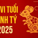 tử vi tuổi canh tý 2025 bùng nổ tài lộc, hóa giải vận hạn, mở Đường Đại phát