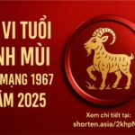 tử vi tuổi Đinh mùi 1967 nam mạng năm 2025 tâm bất an – tiền dễ hao – phong thủy sẽ là lá chắn vững chắc