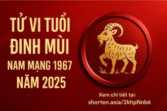 tử vi tuổi Đinh mùi 1967 nam mạng năm 2025 tâm bất an – tiền dễ hao – phong thủy sẽ là lá chắn vững chắc