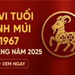 tử vi tuổi Đinh mùi 1967 nữ mạng năm 2025 biến động ngầm – Ứng dụng phong thủy để an thân, chiêu tài, trừ hạn