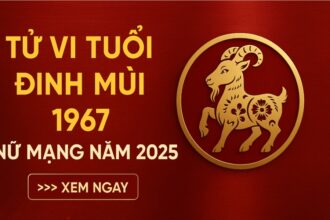 tử vi tuổi Đinh mùi 1967 nữ mạng năm 2025 biến động ngầm – Ứng dụng phong thủy để an thân, chiêu tài, trừ hạn