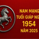 tử vi tuổi giáp ngọ 1954 nam mạng năm 2025 cẩn trọng hạn lớn, xoay chuyển cục diện nhờ phong thủy