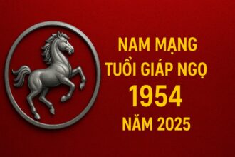 tử vi tuổi giáp ngọ 1954 nam mạng năm 2025 cẩn trọng hạn lớn, xoay chuyển cục diện nhờ phong thủy