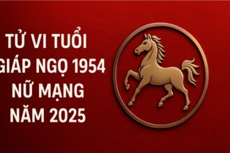 tử vi tuổi giáp ngọ 1954 nữ mạng năm 2025 cẩn trọng hạn lớn, xoay chuyển cục diện nhờ phong thủy