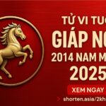tử vi tuổi giáp ngọ 2014 nam mạng năm 2025 bảo vệ trí tuệ – cân bằng cảm xúc – kích hoạt tiềm năng nhờ phong thủy