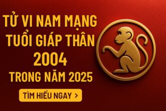 tử vi tuổi giáp thân 2004 nam mạng năm 2025 tâm dễ động – tài dễ hao – phong thủy là bệ đỡ vững vàng