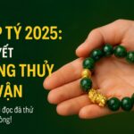 tử vi tuổi giáp tý 2025 cách chiêu tài, giải hạn và bí quyết Đổi vận
