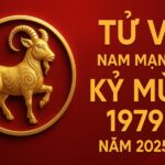 tử vi tuổi kỷ mùi 1979 nam mạng năm 2025 nội lực mạnh nhưng vận hạn bủa vây – cần lấy phong thủy để trụ vững