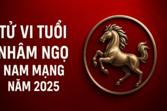 tử vi tuổi nhâm ngọ 2002 nam mạng năm 2025 chặng đường bản lĩnh – chiêu tài đúng lúc, hóa giải vận hạn