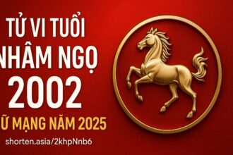 tử vi tuổi nhâm ngọ 2002 nữ mạng năm 2025 khởi đầu thử thách – cần phong thủy dẫn lối vững vàng