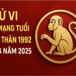 tử vi tuổi nhâm thân 1992 nam mạng năm 2025 hung tinh giáng mệnh – cần phong thủy mạnh để trụ vững