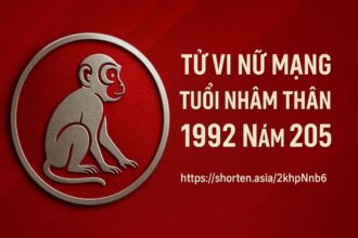 tử vi tuổi nhâm thân 1992 nữ mạng năm 2025 biến động ngầm – muốn an ổn phải dùng phong thủy đúng cách