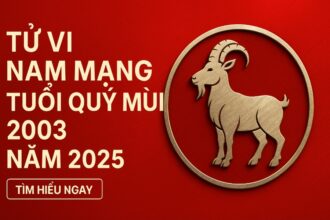tử vi tuổi quý mùi 2003 nam mạng năm 2025 thử thách bản lĩnh – giữ tâm vững, tài khí sẽ đến