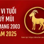 tử vi tuổi quý mùi 2003 nữ mạng năm 2025 vận trình biến chuyển – phong thủy giữ tâm, mở lối tài lộc
