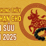tử vi tuổi sửu 2025 cầu tài giải hạn