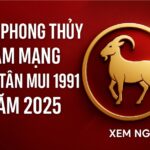 tử vi tuổi tân mùi 1991 nam mạng năm 2025 vận quý nhân soi sáng – hành động đúng thời sẽ mở lối tài lộc