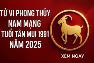 tử vi tuổi tân mùi 1991 nam mạng năm 2025 vận quý nhân soi sáng – hành động đúng thời sẽ mở lối tài lộc