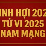 tử vi phong thủy 2025 cho nam mạng tuổi Đinh hợi 2007 bản lĩnh vượt xung, chiêu tài giữ lộc