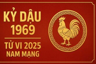 tử vi phong thủy 2025 cho nam mạng tuổi kỷ dậu 1969 cách chiêu tài, giải hạn và đón may mắn