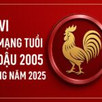 tử vi tuổi Ất dậu 2005 nam mạng năm 2025 dễ chệch hướng nếu không giữ tâm – phong thủy giúp ổn định học lực và bản thân