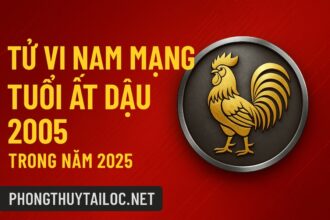 tử vi tuổi Ất dậu 2005 nam mạng năm 2025 học hành nhiều thử thách, dễ xao nhãng – cần phong thủy trợ vững tâm – giữ tài