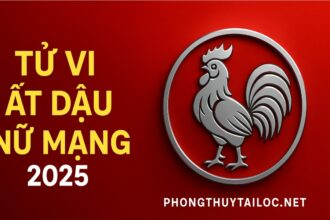 tử vi tuổi Ất dậu 2005 nữ mạng năm 2025 học hành, thi cử có tiến bộ – cần ổn định tâm lý, dùng phong thủy trợ lực