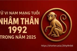 tử vi tuổi Ất dậu 2005 nữ mạng năm 2025 học không vào – tâm hay lo – phong thủy là chìa khóa giải tỏa