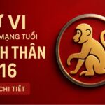 tử vi tuổi bính thân 2016 nam mạng năm 2025 Đúng thời phát triển, sai hướng dễ rối loạn – phong thủy giúp ổn định tinh thần và học hành