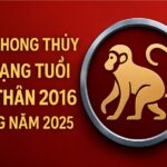 tử vi tuổi bính thân 2016 nữ mạng năm 2025 học hành – tâm lý cần ổn định, phong thủy giúp bé phát triển thuận lợi