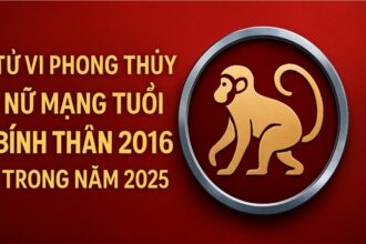 tử vi tuổi bính thân 2016 nữ mạng năm 2025 học hành – tâm lý cần ổn định, phong thủy giúp bé phát triển thuận lợi