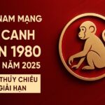 tử vi tuổi canh thân 1980 nam mạng năm 2025 nắm cơ hội – tránh họa ngầm bằng phong thủy đúng cách