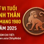 tử vi tuổi canh thân 1980 nữ mạng năm 2025 bình ổn là gốc – vượng tài là quả, phong thủy giúp ổn định cả hai