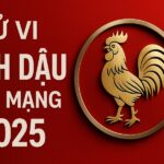 tử vi tuổi Đinh dậu 2017 nam mạng năm 2025 dễ bướng bỉnh, học chưa tập trung – cần phong thủy giúp ổn định khí chất, nuôi dưỡng trí tuệ