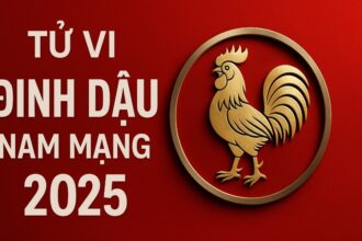 tử vi tuổi Đinh dậu 2017 nam mạng năm 2025 dễ bướng bỉnh, học chưa tập trung – cần phong thủy giúp ổn định khí chất, nuôi dưỡng trí tuệ