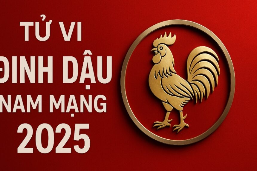 tử vi tuổi Đinh dậu 2017 nam mạng năm 2025 dễ bướng bỉnh, học chưa tập trung – cần phong thủy giúp ổn định khí chất, nuôi dưỡng trí tuệ